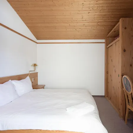 T3 Alpenhotel ホテル 3*