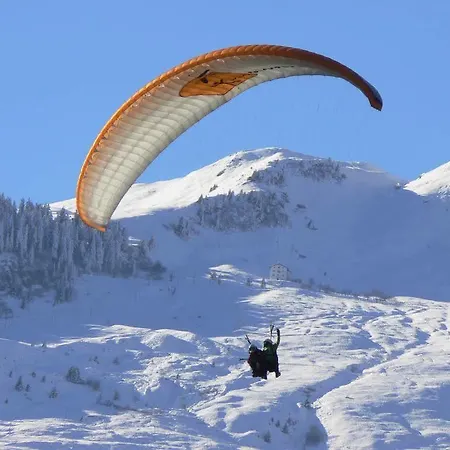 Szálloda T3 Alpenhotel