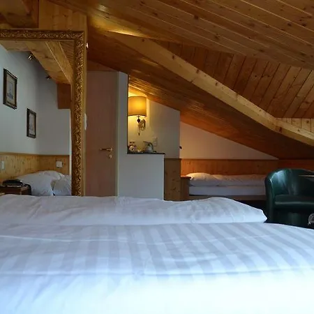 Szálloda T3 Alpenhotel 3*